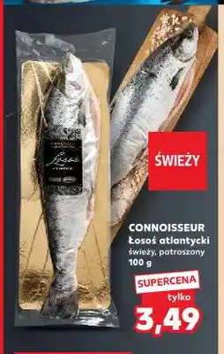 Kaufland Łosoś atlantycki świeży patroszony Connoisseur oferta