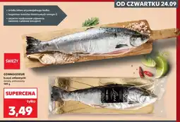 Kaufland Łosoś atlantycki świeży patroszony Connoisseur oferta