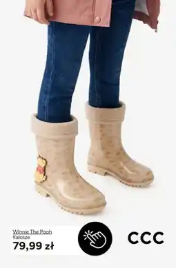 CCC Kalosze Winnie The Pooh oferta