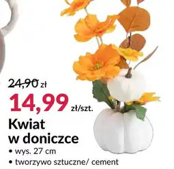 Agata Meble Kwiat oferta