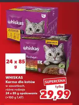 Kaufland Karma dla kotów w saszetkach Whiskas 24-pak oferta
