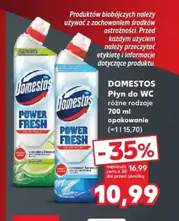 Kaufland Płyn do WC Domestos oferta