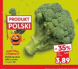 Kaufland Polski brokuł oferta