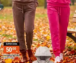 bi1 Spodnie z weluru oferta