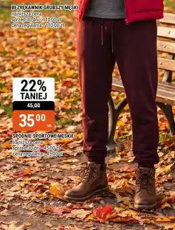 bi1 Bezrękawnik Grubszy Męski oferta