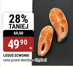 bi1 Łosoś Dzwonki oferta