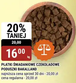 bi1 Płatki Śniadaniowe Czekoladowe Poduszki Bakalland oferta