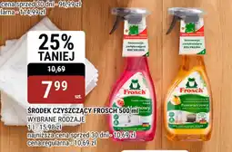 bi1 Środek Czyszczący Frosch oferta