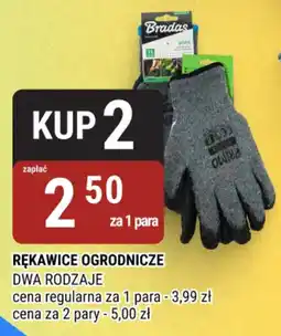 bi1 Rękawice Ogrodnicze oferta