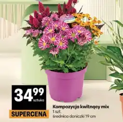 Delikatesy Centrum Kompozycja kwitnący mix oferta