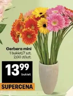 Delikatesy Centrum Gerbera mini oferta