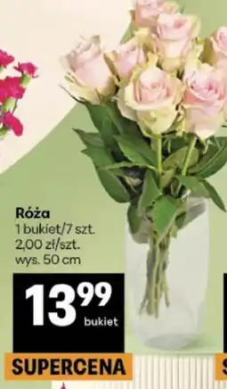 Delikatesy Centrum Róża oferta