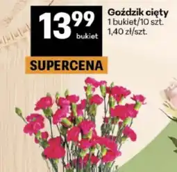 Delikatesy Centrum Goździk cięty oferta