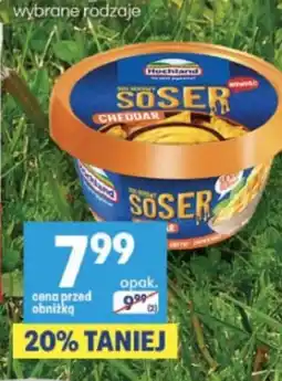 Delikatesy Centrum Sos serowy Cheddar Hochland oferta