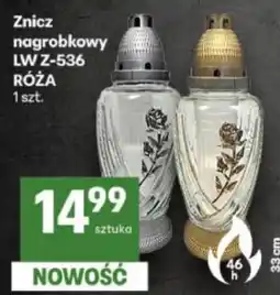 Delikatesy Centrum Znicz nagrobkowy RÓŻA oferta