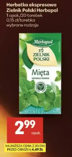 Delikatesy Centrum Herbatka ekspresowa Zielenik Polski Herbapol Mięta oferta