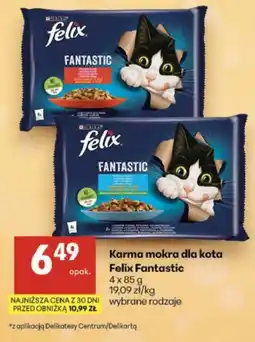 Delikatesy Centrum Karma mokra dla kota Felix Fantastic oferta
