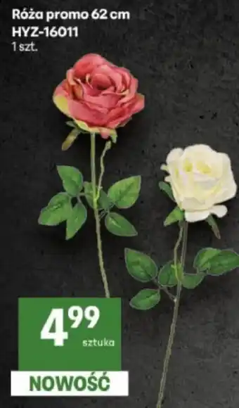 Delikatesy Centrum Róża promo oferta