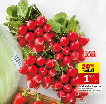 Twój Market Rzodkiewka oferta