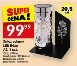 Twój Market Znicz solarny LED Róża oferta