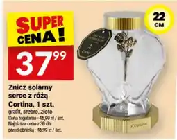 Twój Market Znicz solarny serce z rózą Cortina oferta