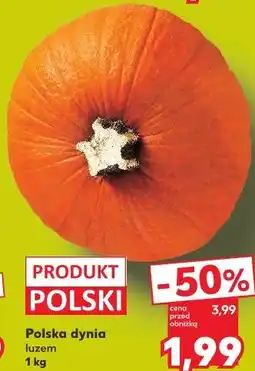 Kaufland Polska dynia luzem oferta