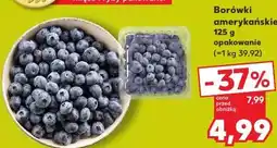 Kaufland Borówki amerykańskie oferta