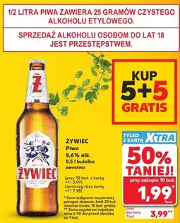 Kaufland Żywiec Piwo 5,6% alk oferta