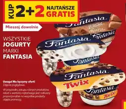 Kaufland Wszystkie jogurty marki Fantasia oferta