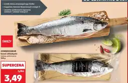 Kaufland Connoisseur Łosoś atlantycki świeży, patroszony oferta