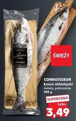 Kaufland CONNOISSEUR Łosoś atlantycki świeży, patroszony oferta