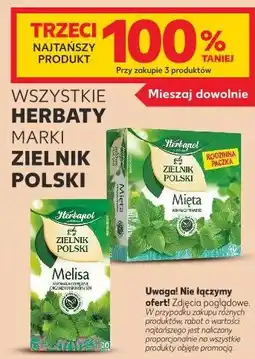 Kaufland Wszystkie herbaty marki Zielnik Polski oferta