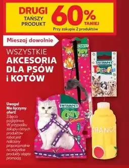 Kaufland Wszystkie akcesoria dla psów i kotów oferta