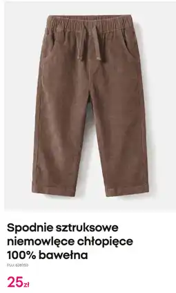 Pepco Spodnie sztruksowe niemowlęce chłopięce 100% bawełna oferta