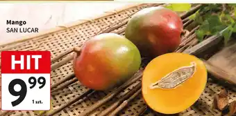 Mango SAN LUCAR