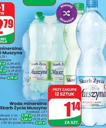 Dino Woda mineralna Skarb Życia Muszyna oferta