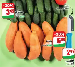 Dino Ogórek gruntowy oferta