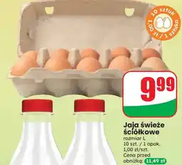 Dino Jaja świeże ściółkowe oferta