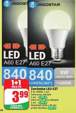 Dino Żarówka LED AIGOSTAR oferta