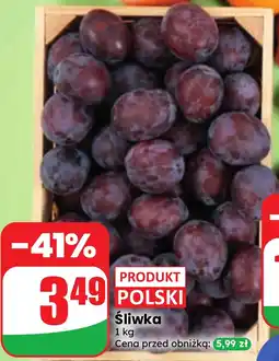 Dino Śliwka oferta