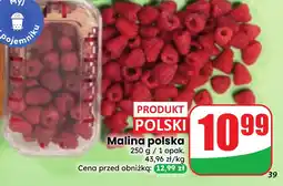 Dino Malina polska oferta
