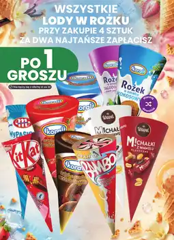 Dino Lody w Rożku oferta