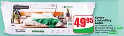 Dino Kołdra z microfibry Antila oferta
