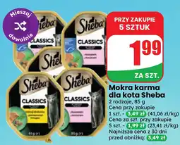 Dino Mokra karma dla kota Sheba oferta