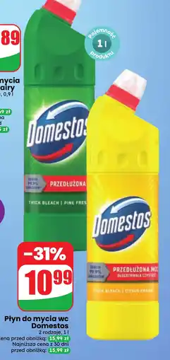 Dino Płyn do mycia wc Domestos oferta