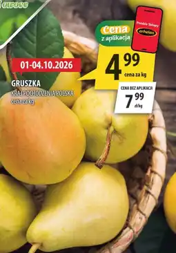 Arhelan Gruszka Arhelan oferta