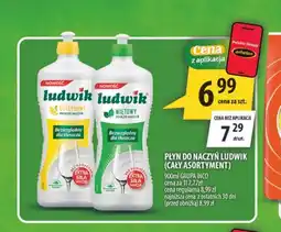 Arhelan Płyn do naczyń Ludwik oferta
