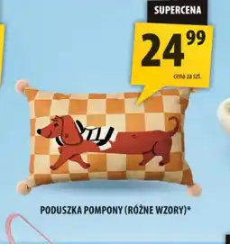 Arhelan Poduszka oferta