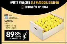 Makro Cytryny oferta
