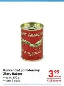 Makro Koncentrat pomidorowy Złoty Bażant oferta
